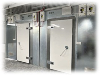 EMP/HEMP Protection System